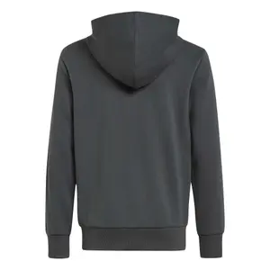 Sweatshirt à capuche classique enfant adidas Essentials image-1