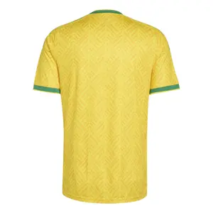 Maillot Domiciliar África do Sul Coupe du Monde 2026 image-4
