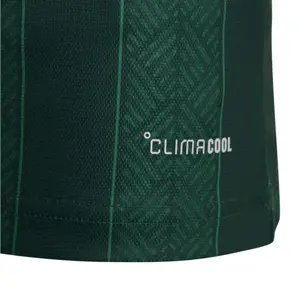 Maillot Externo criança África do Sul Coupe du Monde 2026 image-4