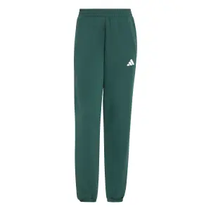 Pantalon de jogging femme adidas Stadium