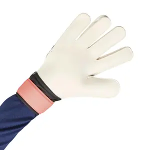 Gants de gardien Trainig adidas Predator image-2