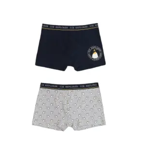 Boxer Admas Ice Walker (x2) image-0
