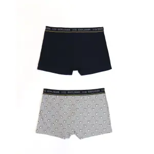 Boxer Admas Ice Walker (x2) image-1