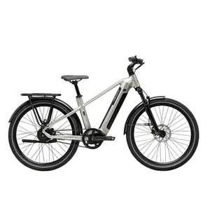 Bicicleta eléctrica Adriatica Yourban