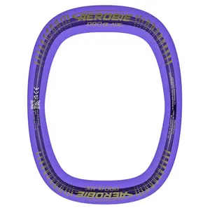 Discus Aerobie Pro Blade
