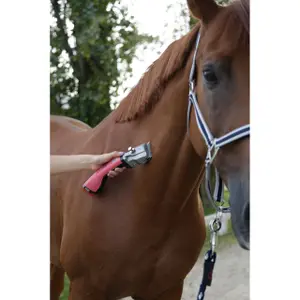 Horse clipper 1 battery Aesculap Bonum image-4