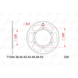 Front motorcycle sprocket with rubber noise reducer Afam 520 16 dents image-0