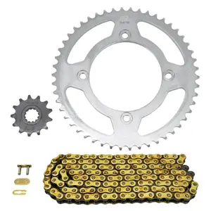 Σετ αλυσίδας μηχανής Afam Beta 50 Rr Motard 2012<2017, Rr Motard Standard 2012<2014, Rr Motard Sport 2014<2017, Rr Sm 2012<2017 420 image-0