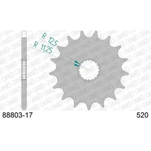 Πετάλι μηχανής μπροστινό από ατσάλι Afam 520 17 dents image-0