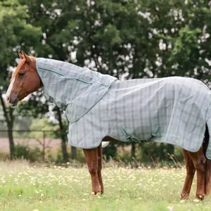Hästflugmatta Horseware Newmarket Quarter Horse Plus image-1