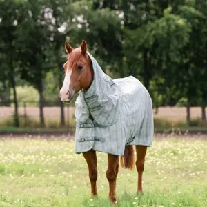 Hästflugmatta Horseware Newmarket Quarter Horse Plus image-2