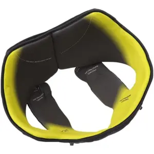 Coussinets de joue AGV Pista GP R
