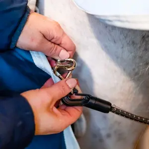 Κάλυμμα στάβλου για άλογο Horseware 200g image-3