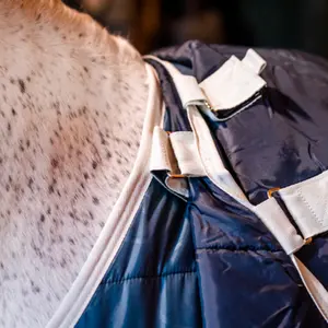 Κάλυμμα στάβλου για άλογο Horseware 200g image-5
