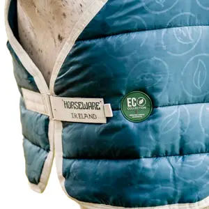 Κάλυμμα στάβλου για άλογο Horseware 200g image-6