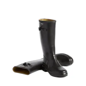 Bottes de pluie femme Aigle Cessac