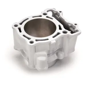 Motorfiets cilinder Airsal Kawasaki KX 250 F (KX250N) [250] / KX 250 F (KX250Y) [250]