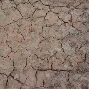 Model paint AK Interactive Dioramas Wet Crackle Effects image-1