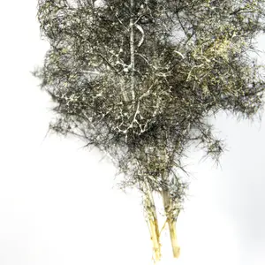 Paint AK Interactive Dioramas Fantasy Bushes image-2