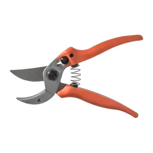 Scissors Akah Löwe Easy Clean image-1