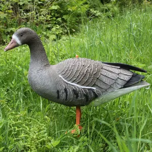 Callers Akah Front Goose image-0