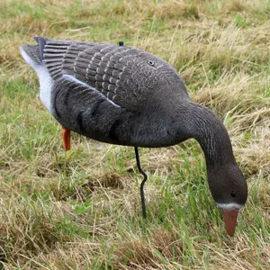 Callers Akah Front Goose image-1