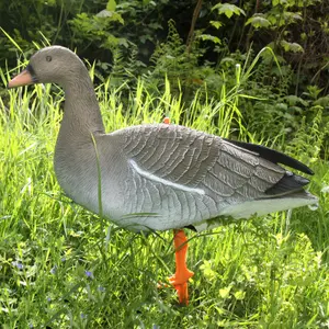 Appelants Goose Decoys Akah image-0