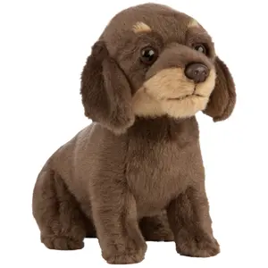 Mjukdjur för barn Akah Animal Wire-haired Dachshund Puppy