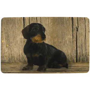 Dörrmatta Akah Dachshund