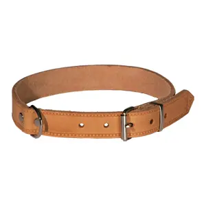 Collar para perro de cuero remachado Akah image-0