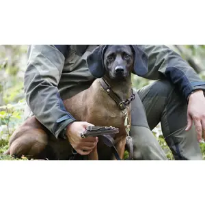 Collar para perro con tope de cuero pull-up Akah image-1