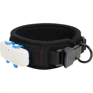 Hundehalsband Akah Comfort Plus image-2