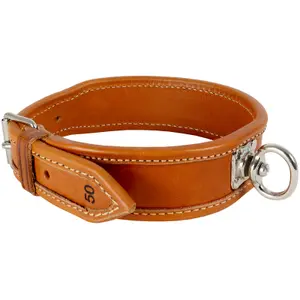 Collar para perro Akah