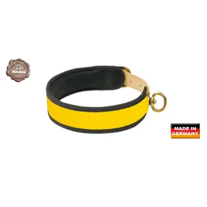 Collar para perro para la búsqueda de sangre Akah