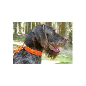 Collar Akah BioThane Tracker image-1