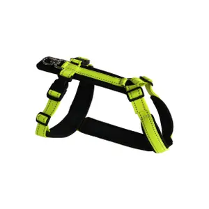 Pettorina per cani Akah Tracker