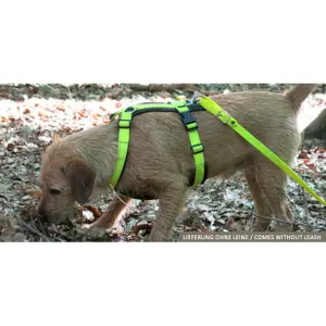 Pettorina per cani Akah Tracker image-1