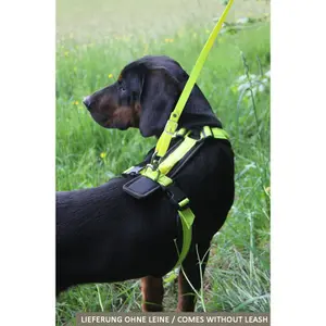 Pettorina per cani Akah Tracker image-2