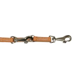 Molleton Leather Training Dog Leash Akah image-0