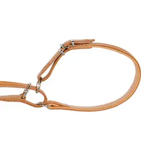 Laisse para perro para la búsqueda de sangre con collar Akah image-1