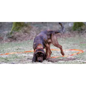 Collar para perro de búsqueda de sangre Akah BioThane image-1