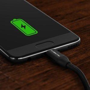 Câble USB-C vers USB type C Akashi image-2