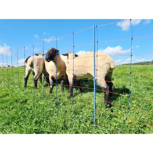 Piquet de rechange double pointe Ako image-1