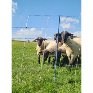 Rede para vedação de ponto único Ako TitanNet Premium Vario image-2