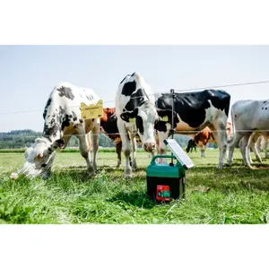Generator für batteriebetriebenen Elektrozaun Ako PowerShock B 290 image-3