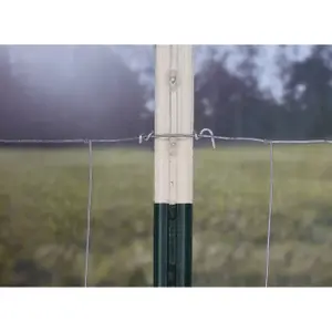 Fastening clip for t-poles Ako (x25) image-2