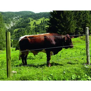 Piquet cloture d'angle/porte Ako Octo Wood image-3