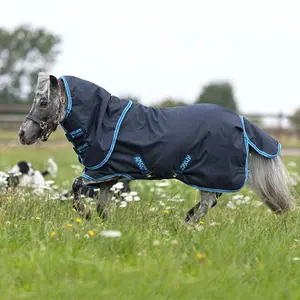 Εξωτερική κουβέρτα για μικρά ιπποειδή Horseware Amigo Hero 6 Plus Turnout Lite Ripstop image-1