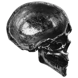 Cup Alchemy Half Skull image-3