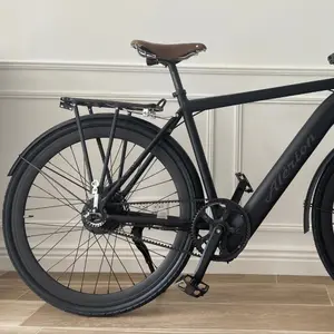 Hinterer Gepäckträger Alérion image-0